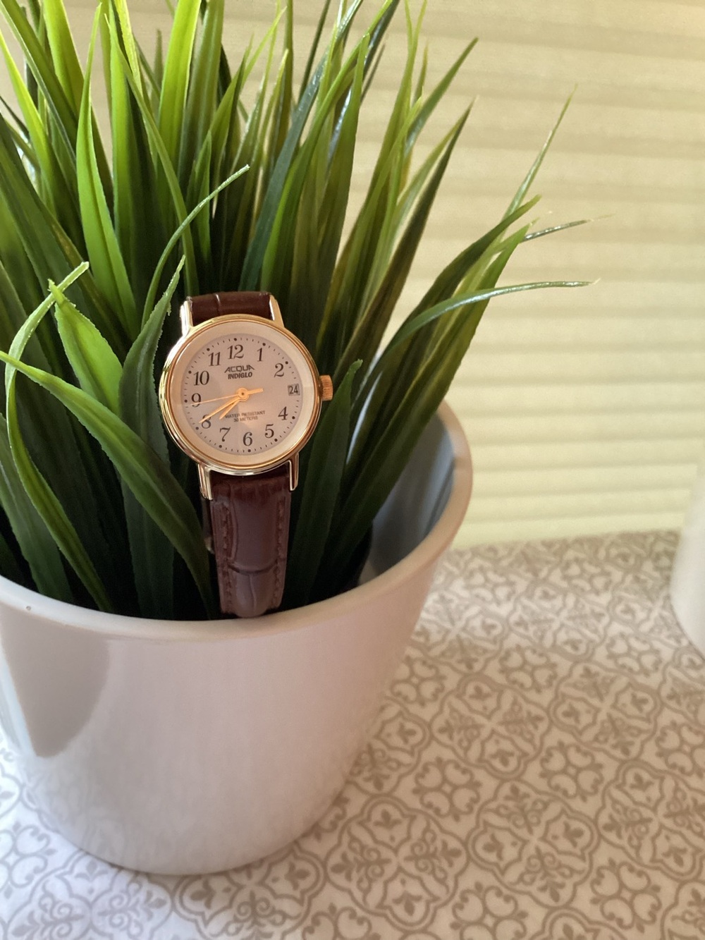 Acqua Indiglo Ladies Watch